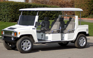 affordable golf cart rental, golf cart rent vero beach
