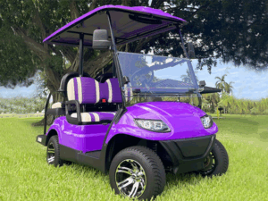 vero beach golf cart service, golf cart repair